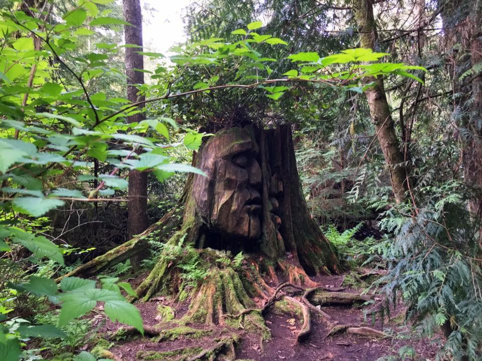 The God Head in the Rainforest.
